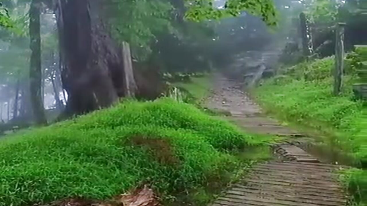 👉DreaM👈 - فيديو من sweet_riyaaa موديل الكام