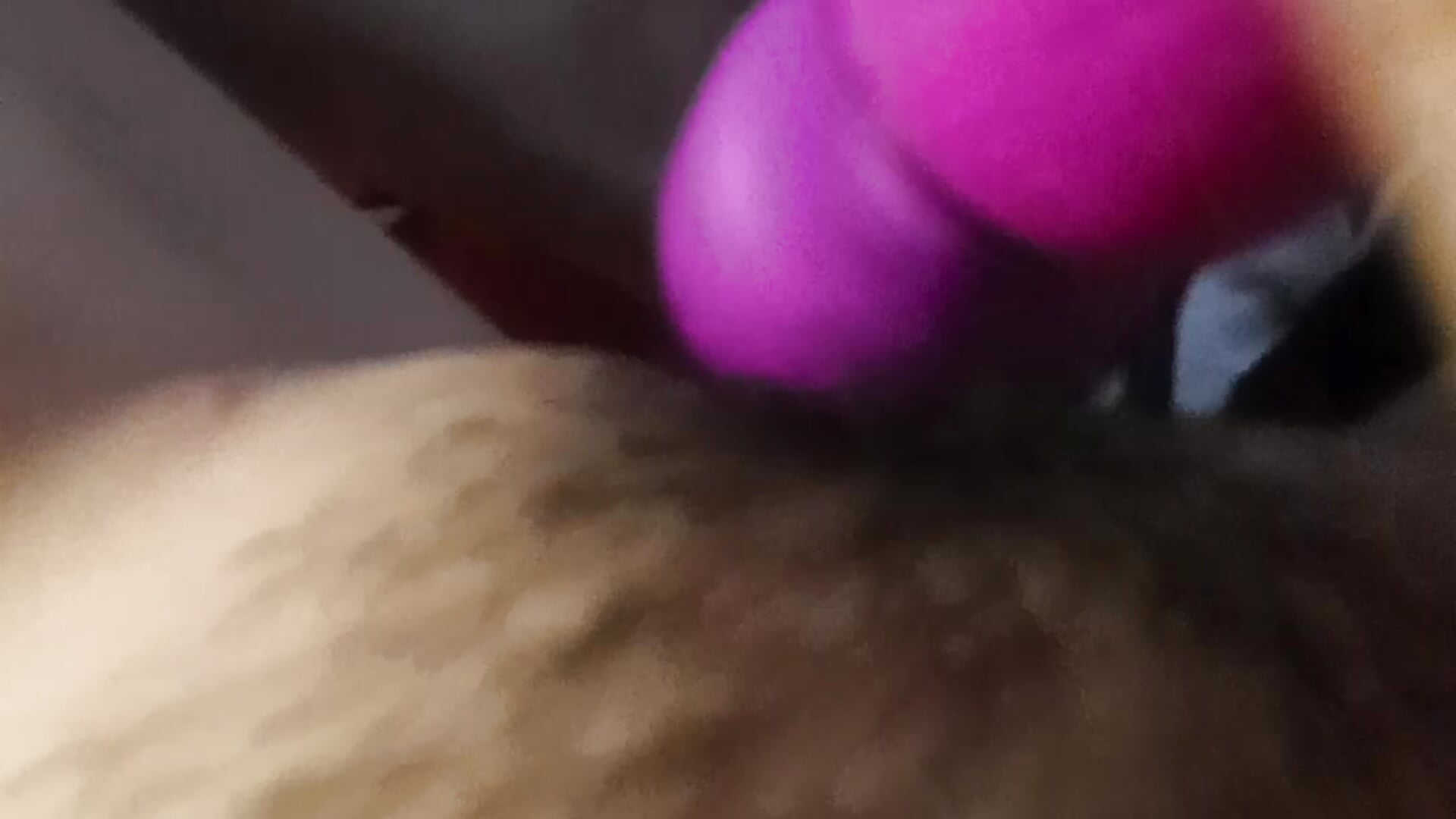 1000000344 - video by -Bunny-y cam model