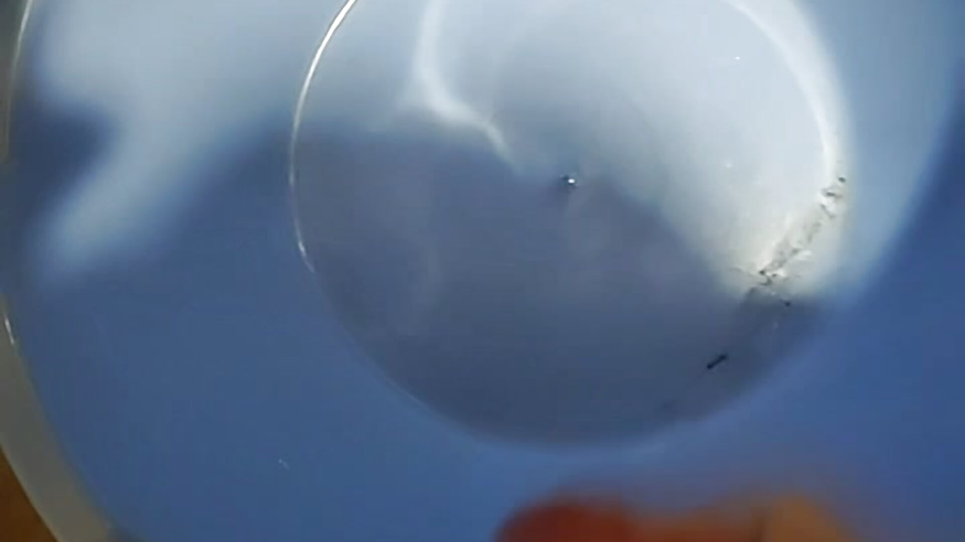 My ended dick - video by yurii_magic cam model