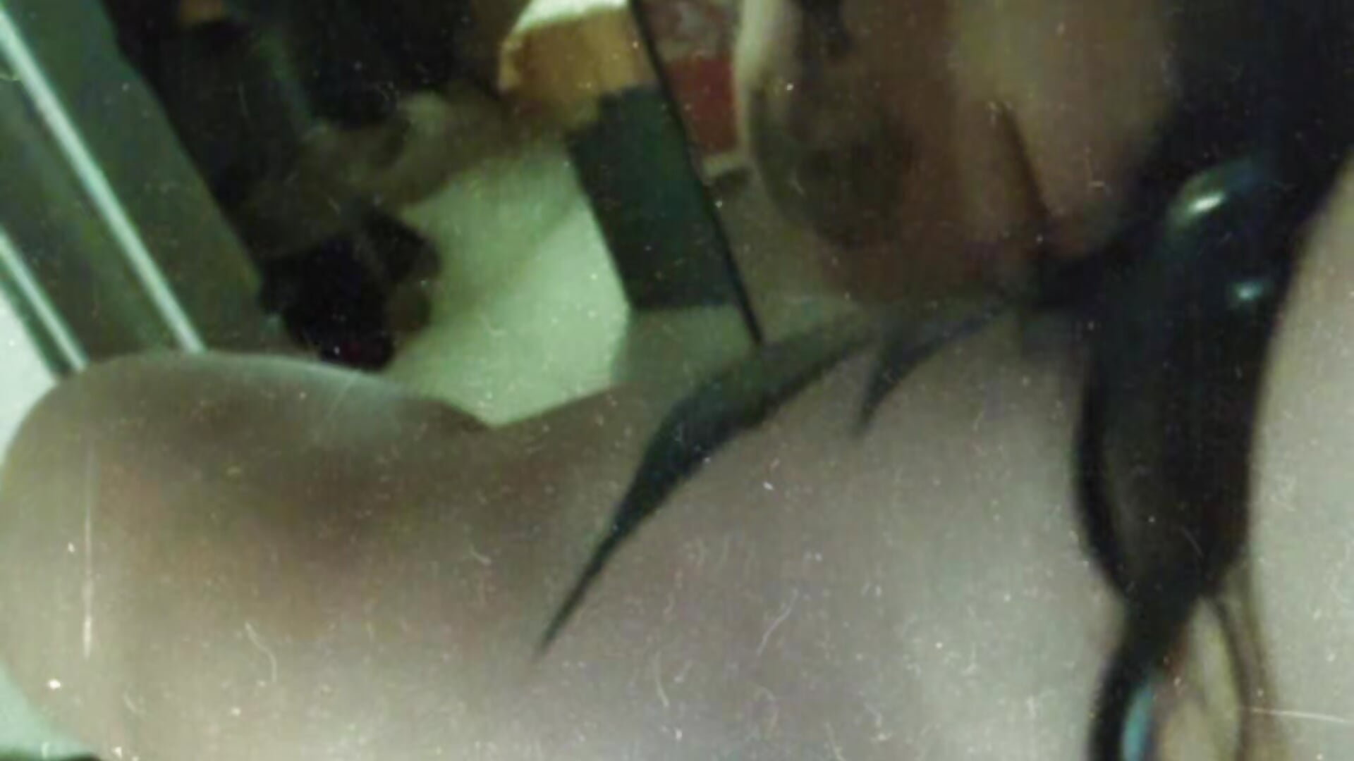 Nuda per te - video av rosenrrot cam model
