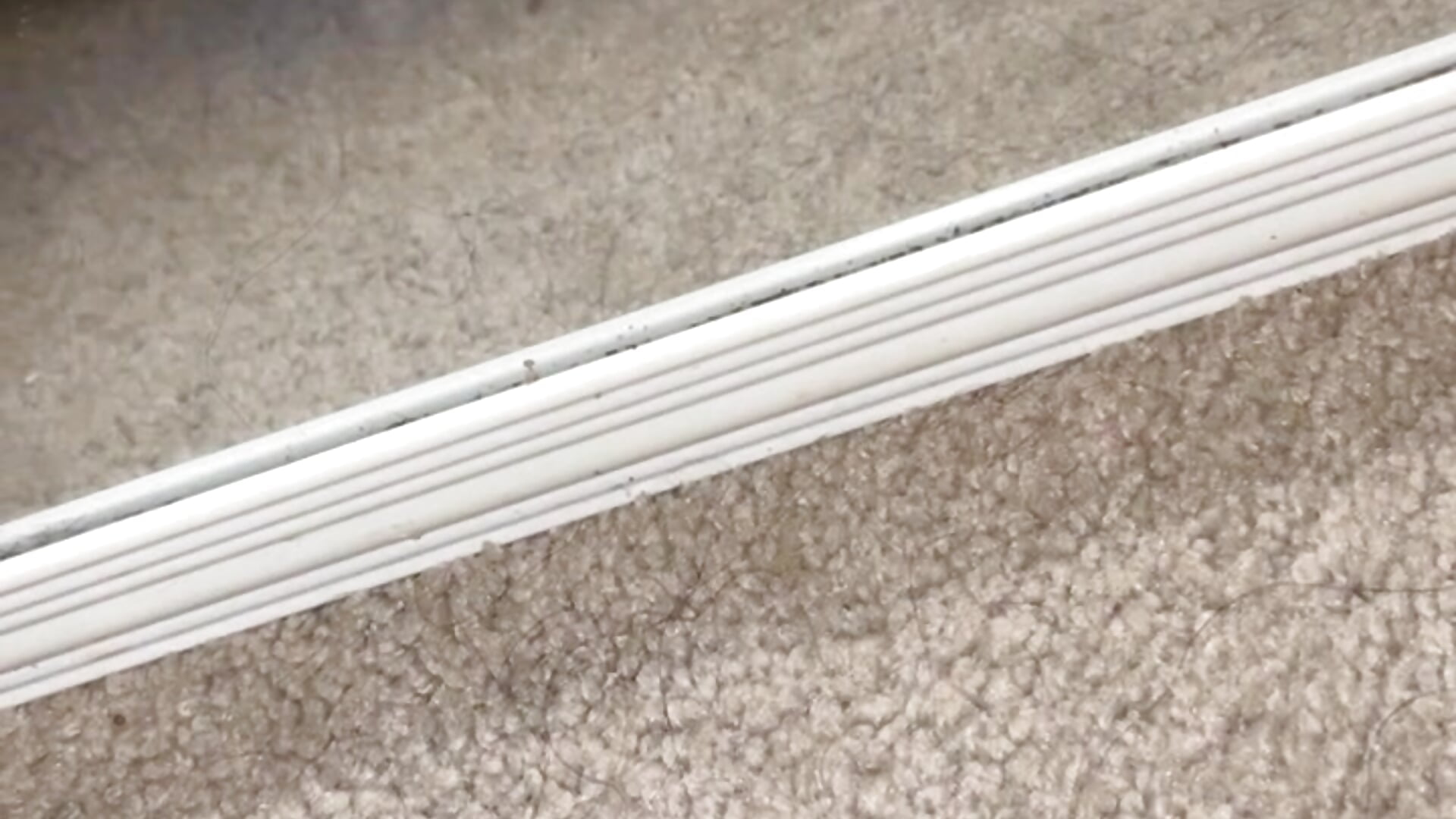 3052d6b243ff45759ef0f7e034ff97e7 - video by paybarbie cam model