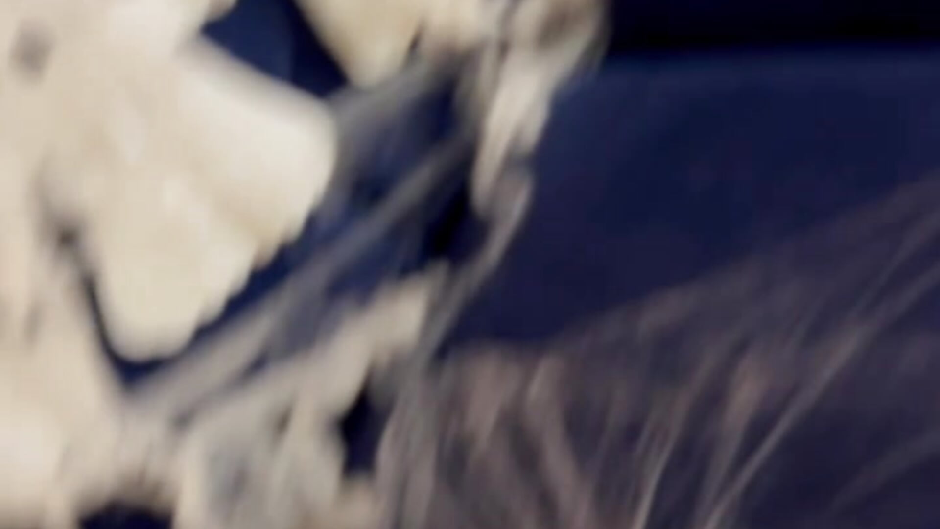 Happy Halloween - video by Dafni_Monn cam model