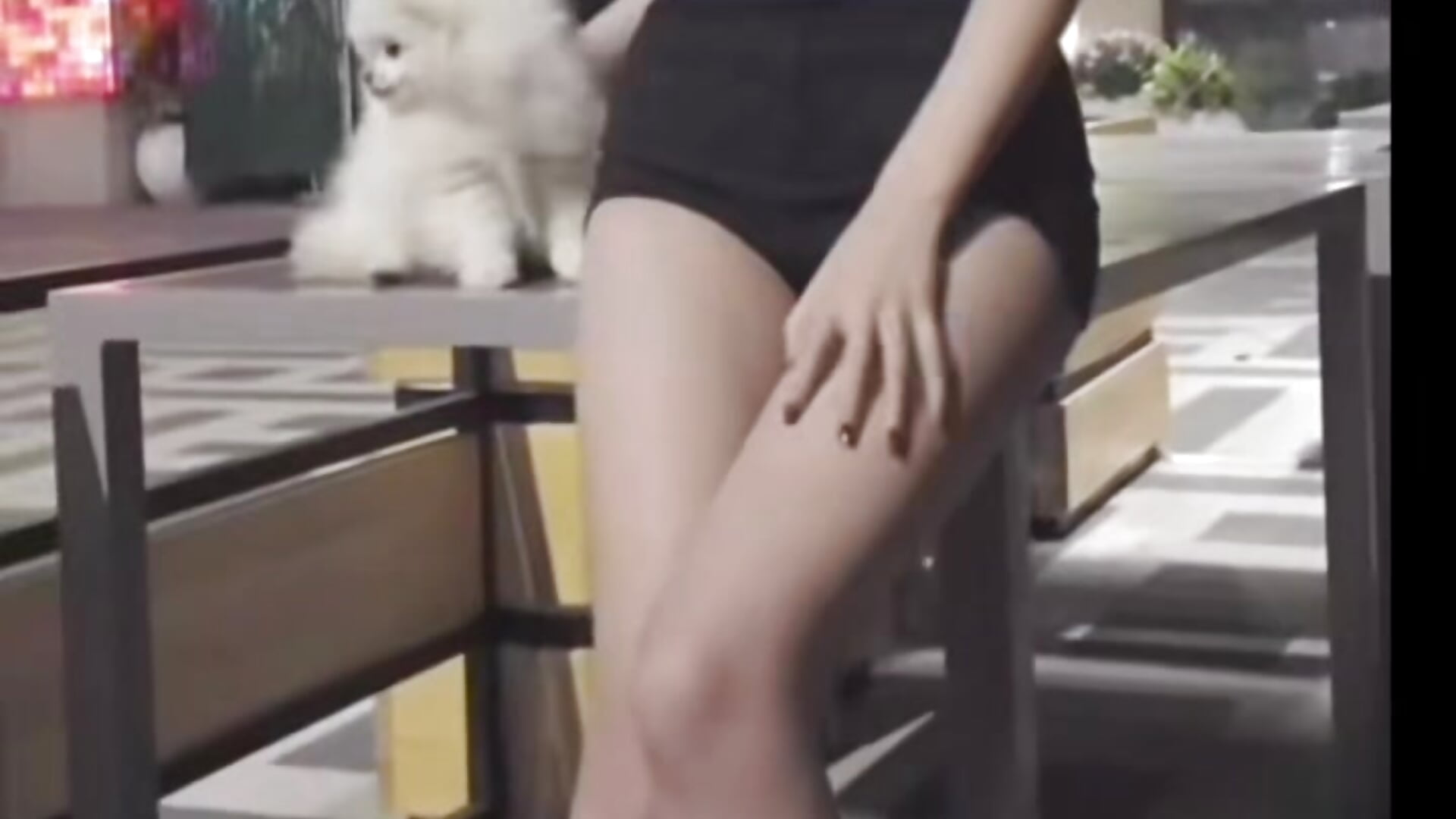 最喜欢狗狗了－カメラキャストのMiss-xiaomaoの動画