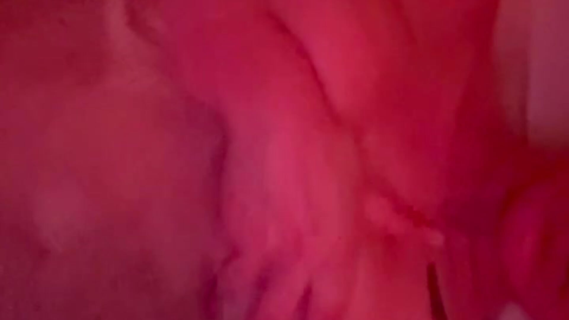 play with me 💦 - video by AlexaBrightt cam model