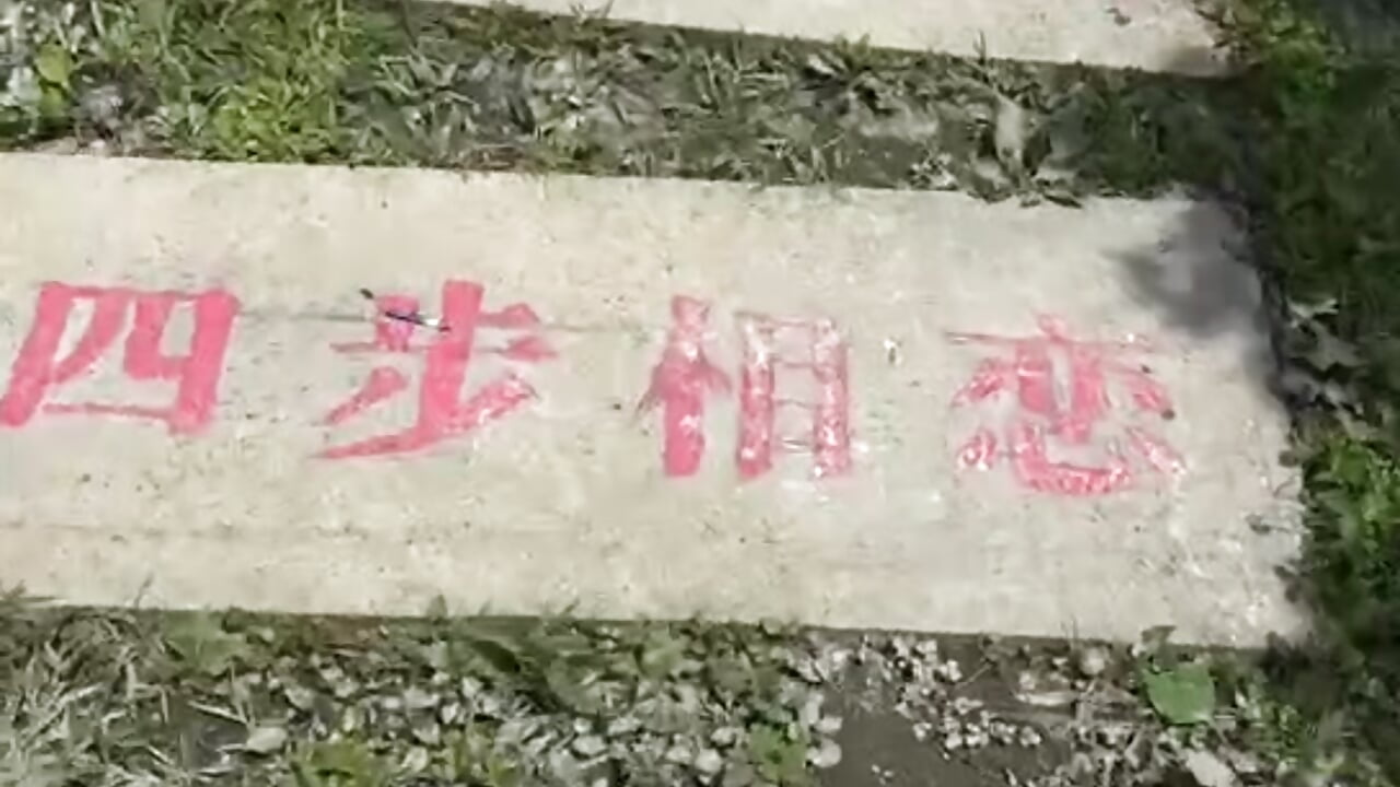 十步回首吗？ - 視頻由 Qrooo 主播提供