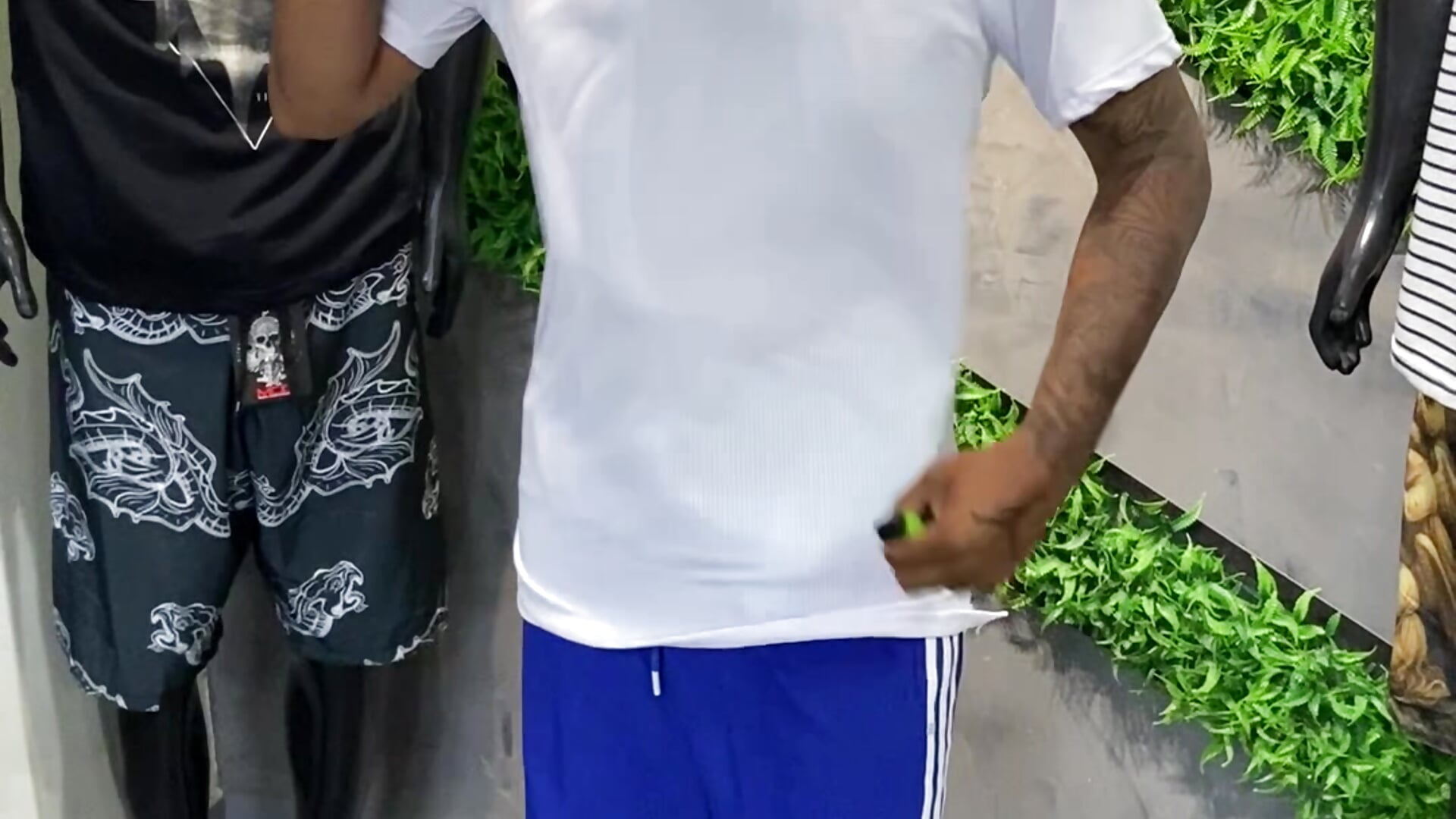 Vídeo em tendência de modelo na câmara gede224 1701