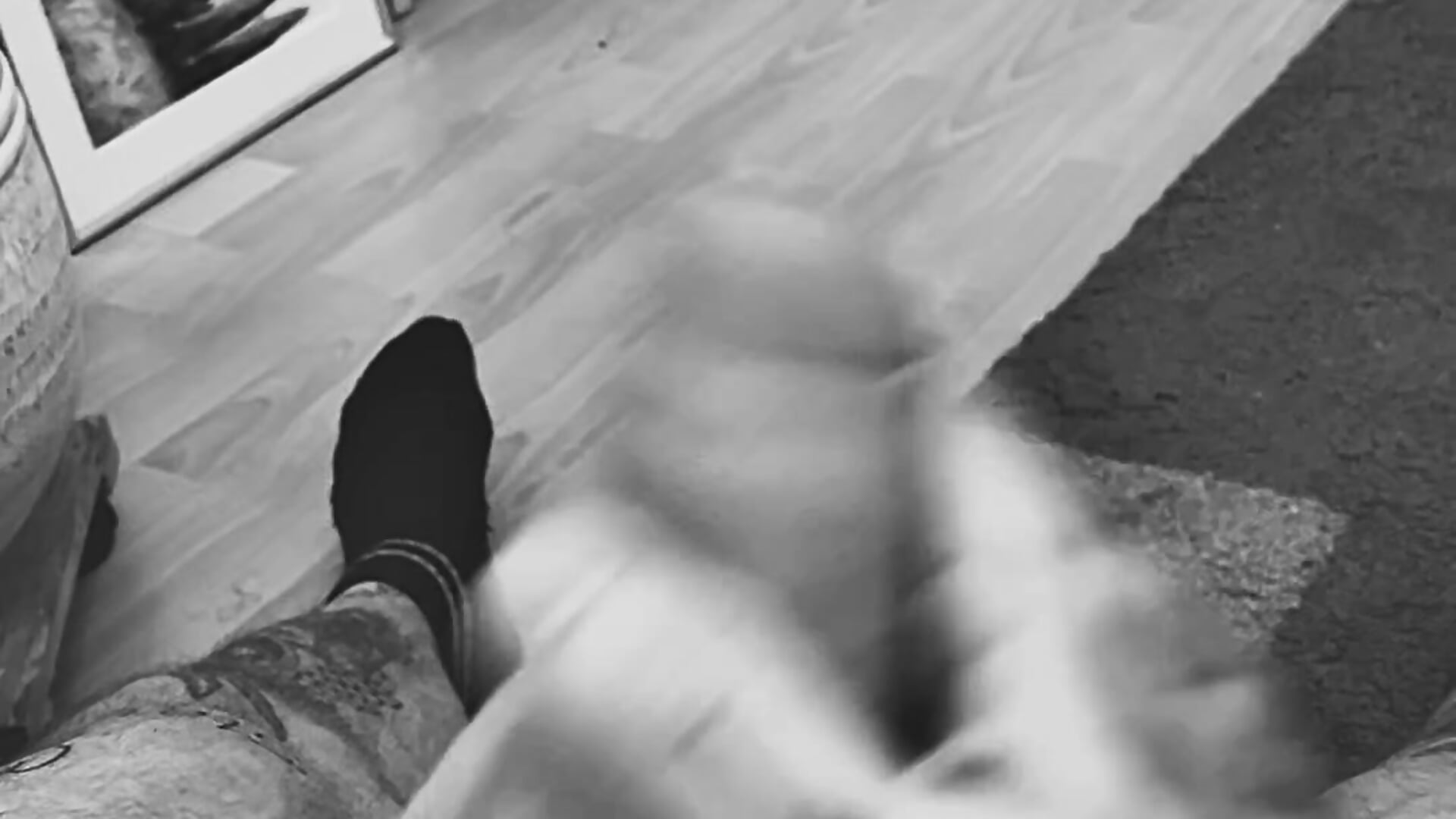 IMG_0227 - βίντεο μοντέλου Siggi22x6