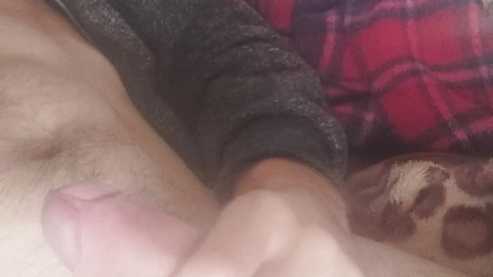 My hard cock is horny - βίντεο μοντέλου ovixxx1