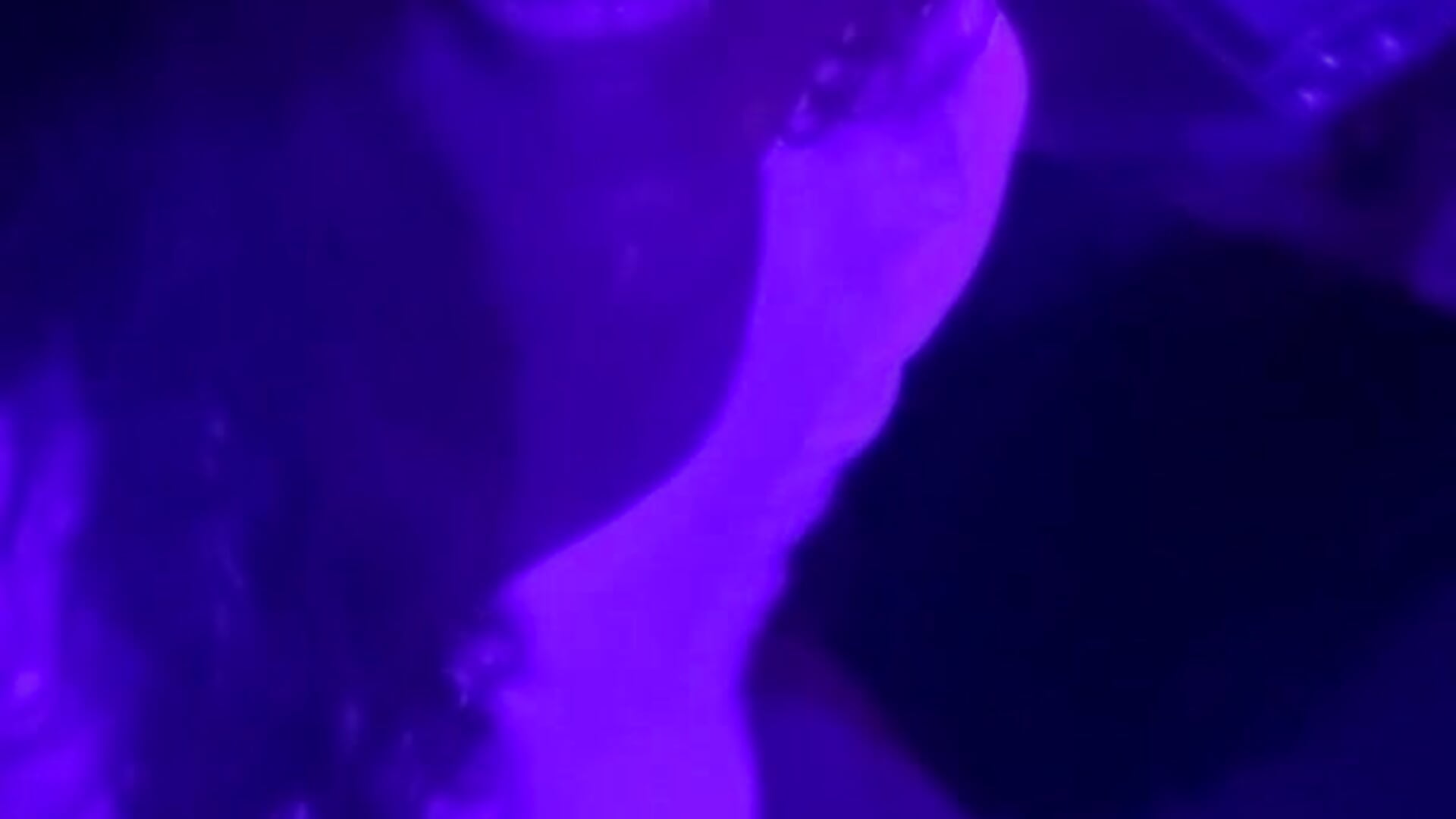 Ligths neon - วิดีโอโดย braziliancouple_br โมเดลแคม