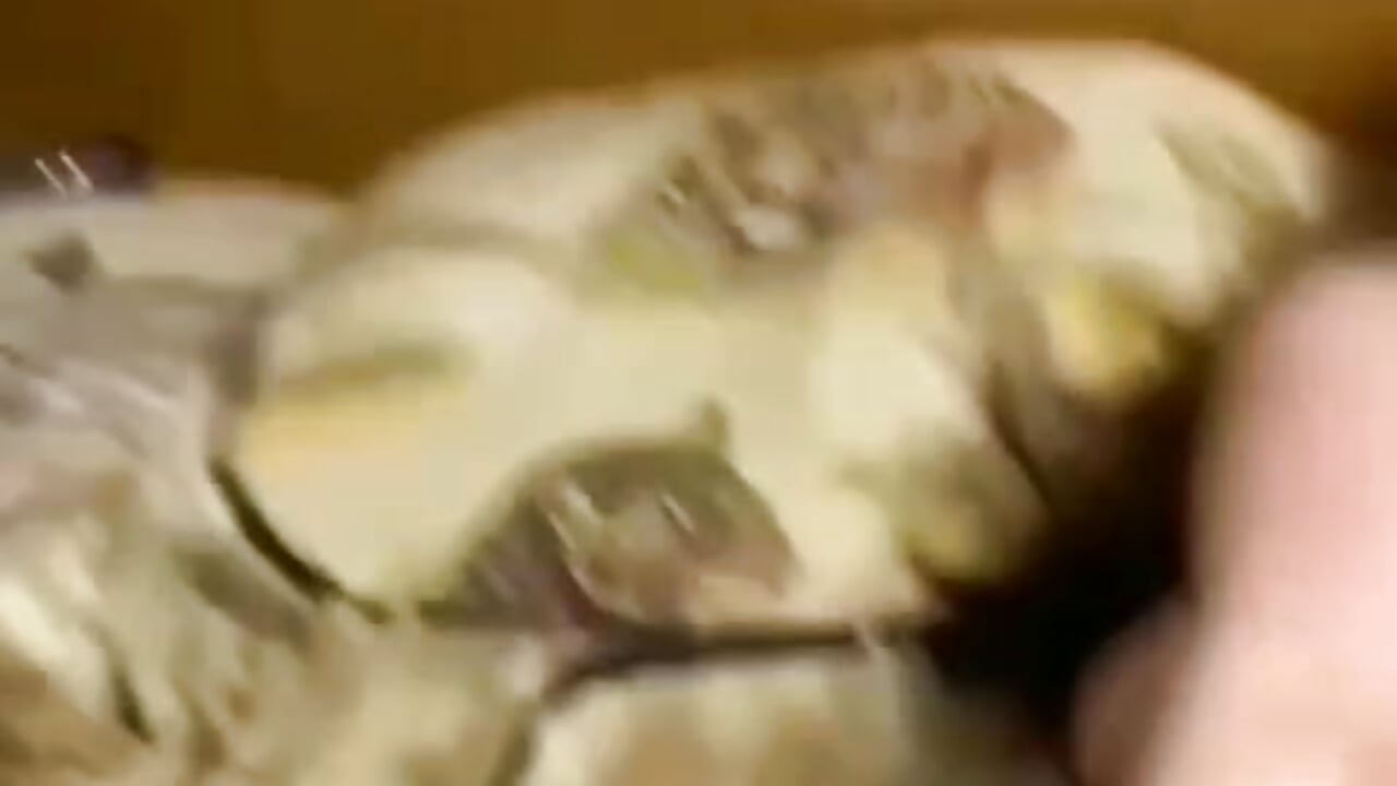 صديقتي تتفشخ rap ing my friend - βίντεο μοντέλου nouvhitta