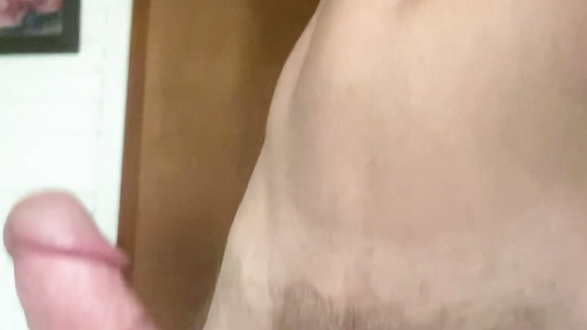 IMG_8227 - dogfrota主播的视频