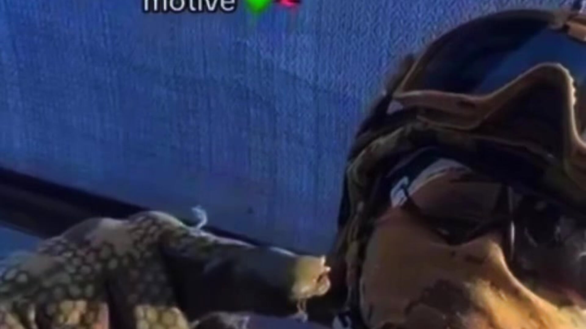 e5245d21c941422cbbd3db60199f7058 - video av Dani18cogedor cam-modell