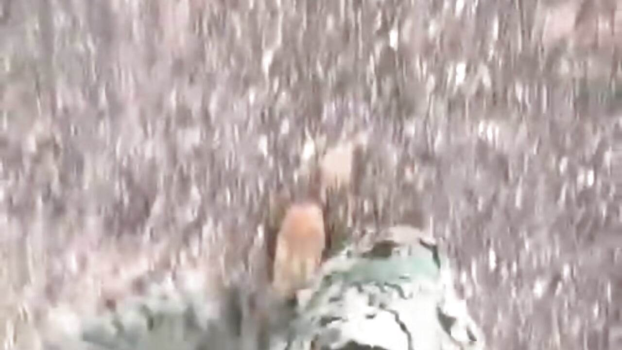 7cd9c9ea-0250-44b0-b223-1ed3d571a1df - video by Dani18cogedor cam model