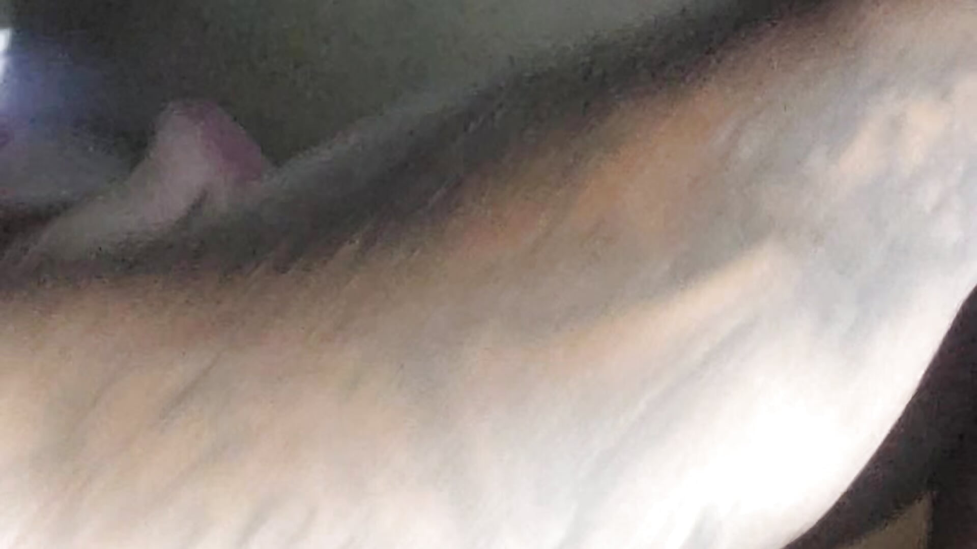 Shrimpsonspun661