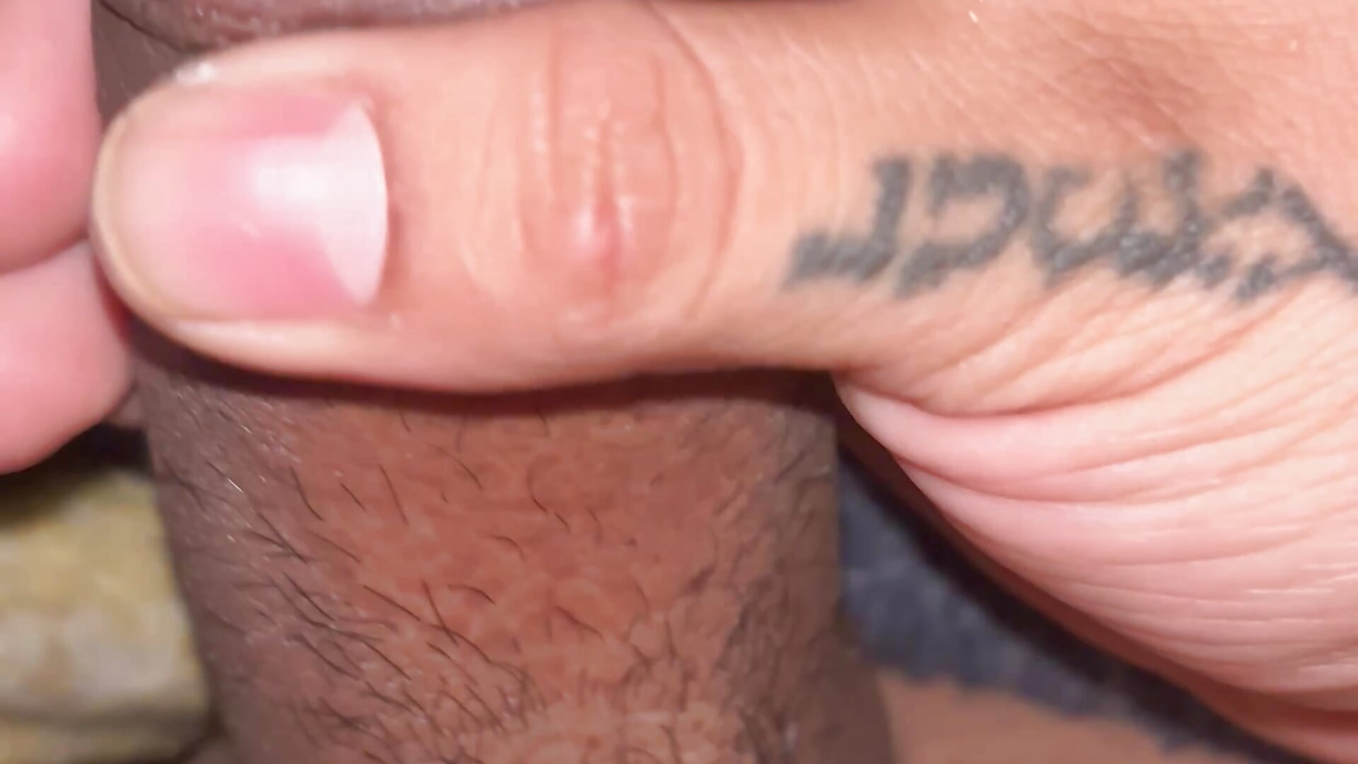 Morning Wood