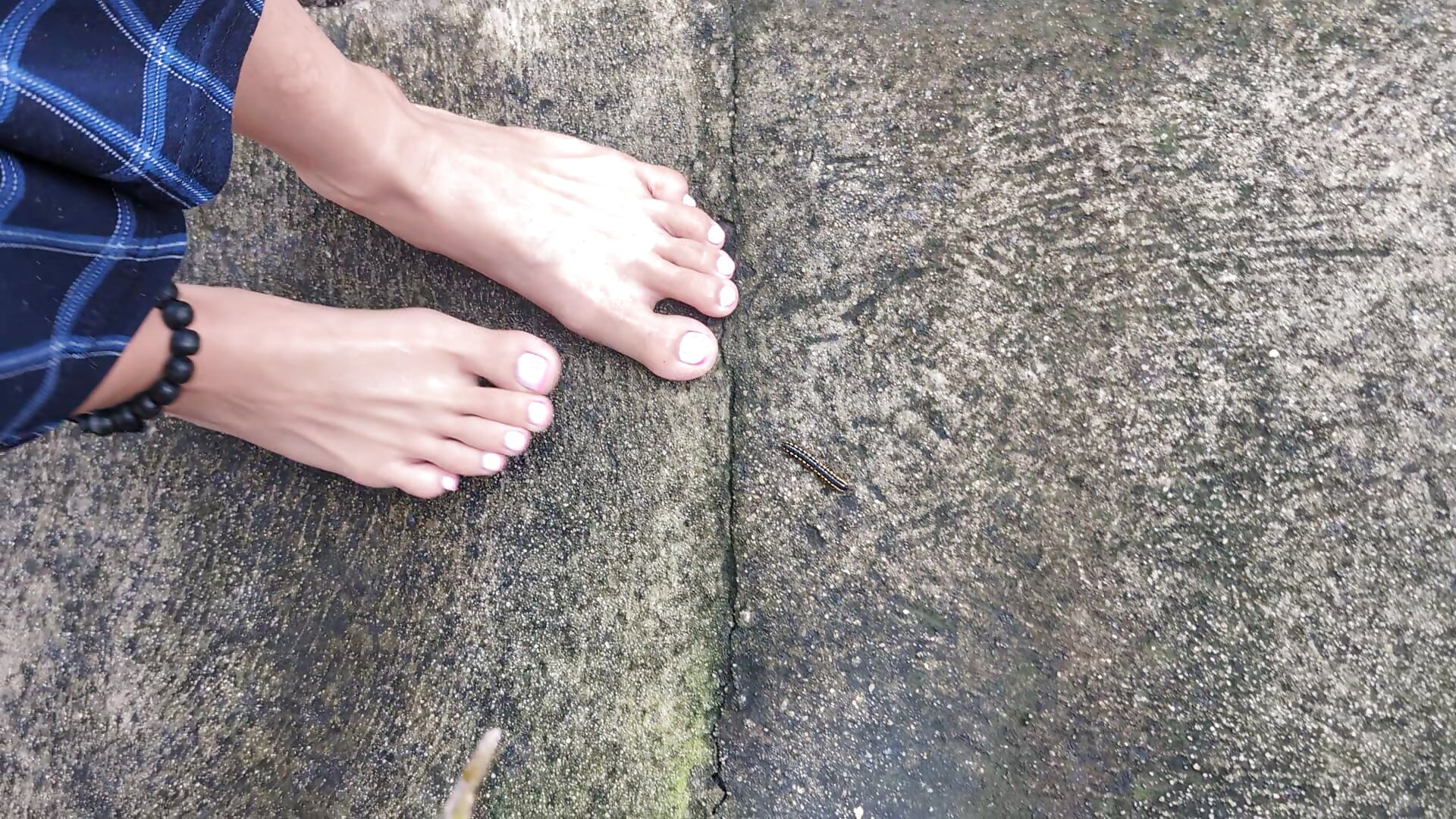 My barefoot and this Cute little Creature 🐛 – video af 25sweetlilbunny cam-model