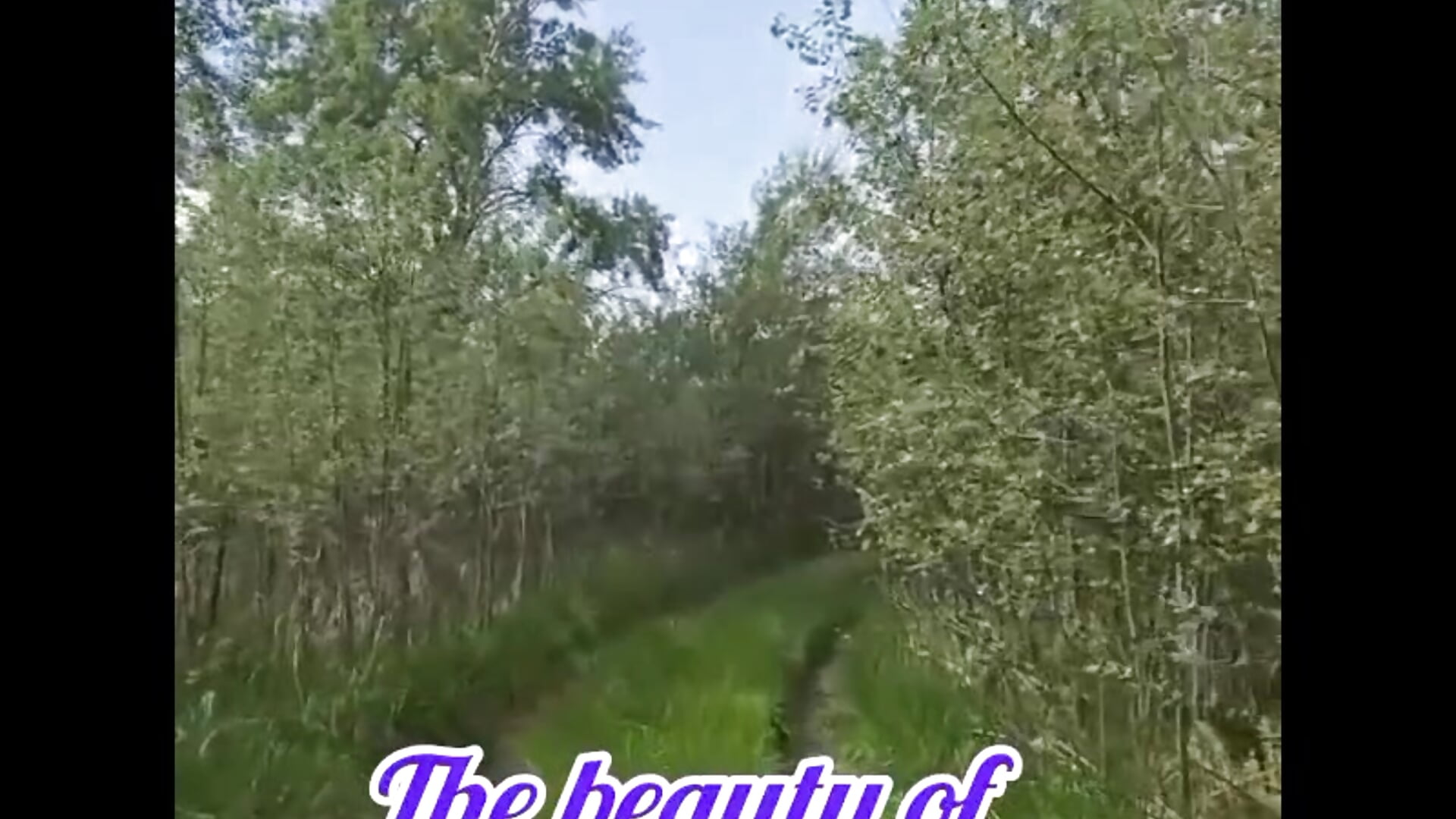 I love nature and fishing - video by Julie_Lucas cam model