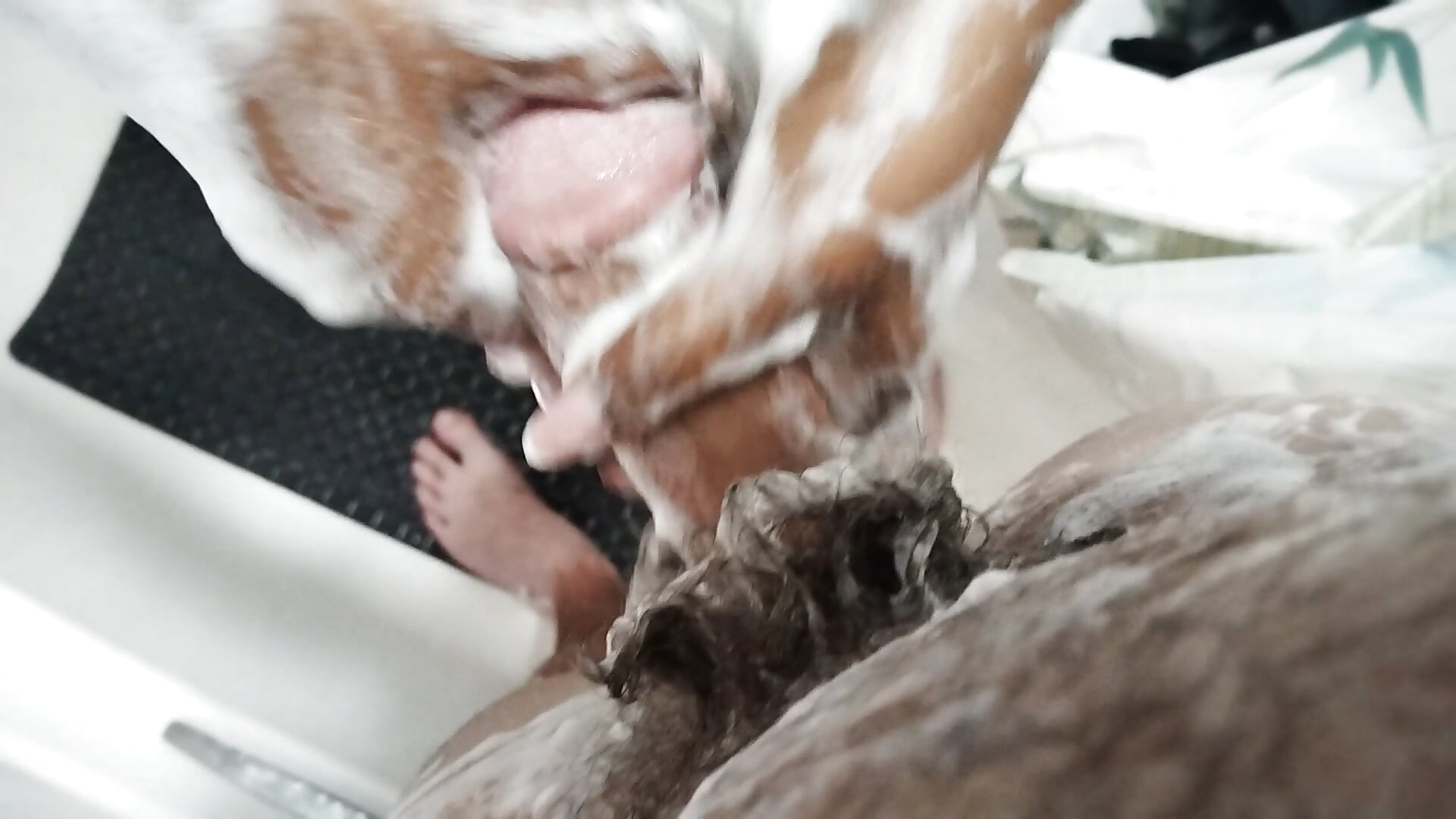 Mr Sugars Soapy Dick 🤤💦 - video by SugarAndSpiceXXXX cam model