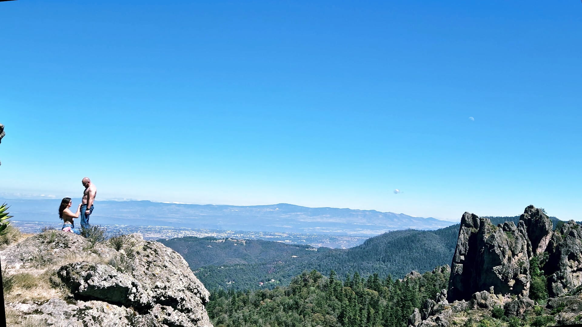 Forest - Video von AlexTeasse Cam-Model