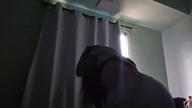 ❤︎❤︎ - video od modelky/modela IZzyBellxX_