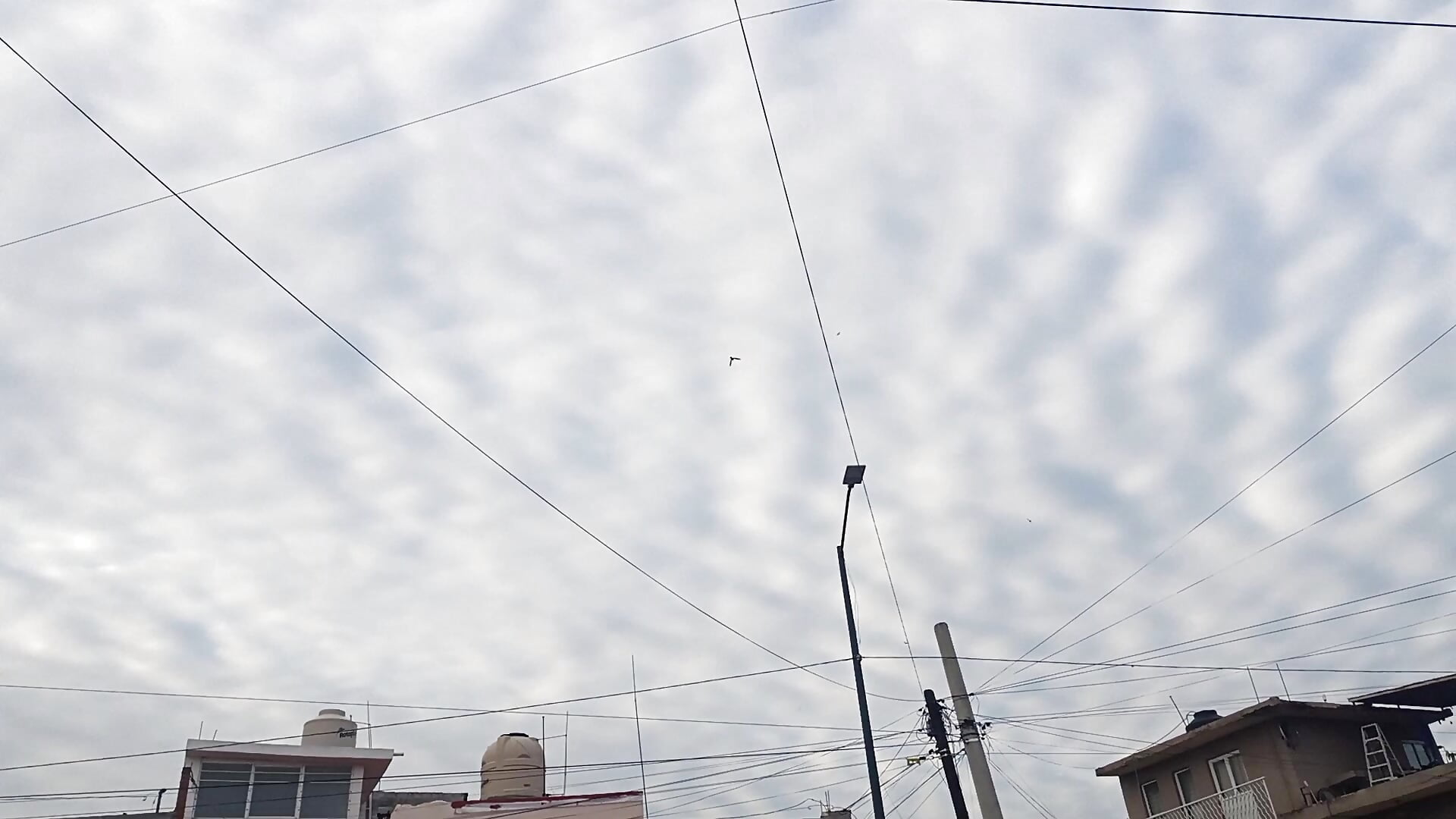 Momentos de vida - video by GoR57 cam model