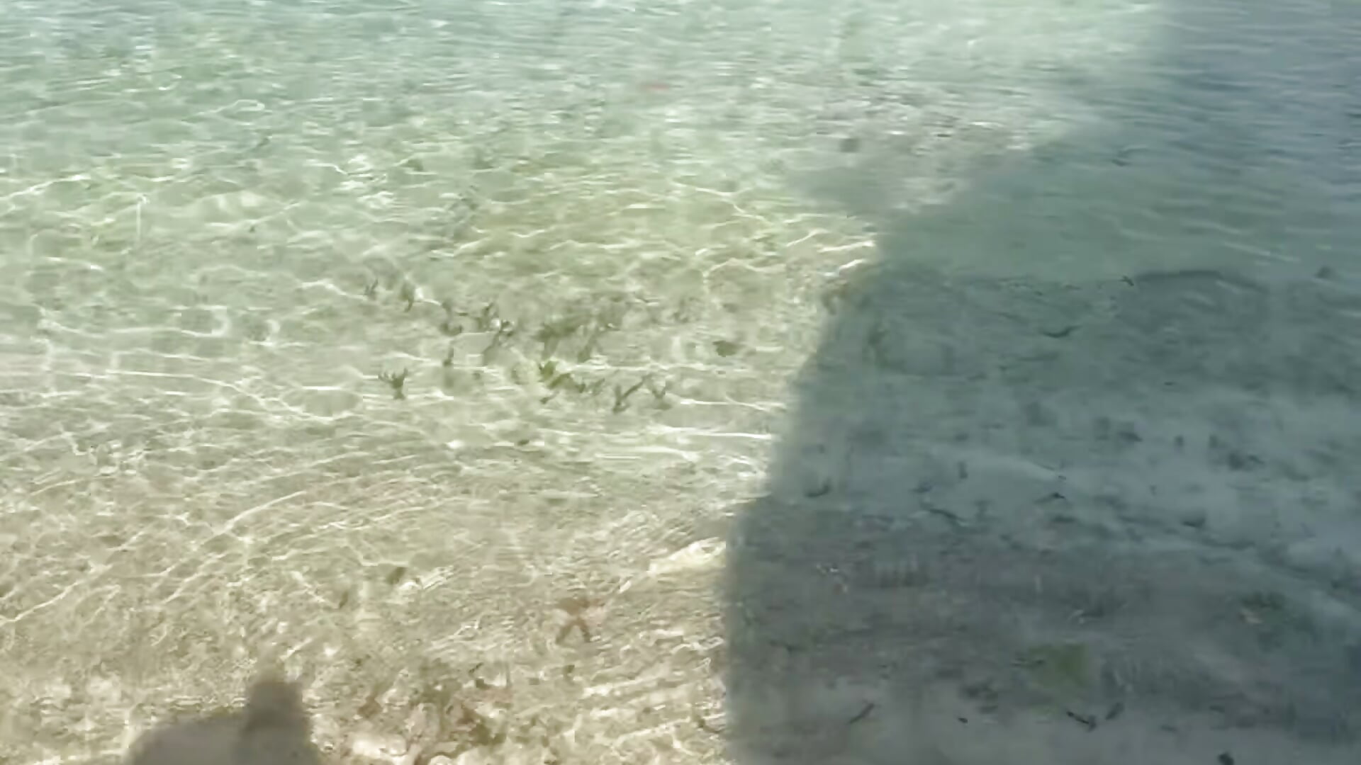 IMG_5579 - video di candyfox26__ modella di cam