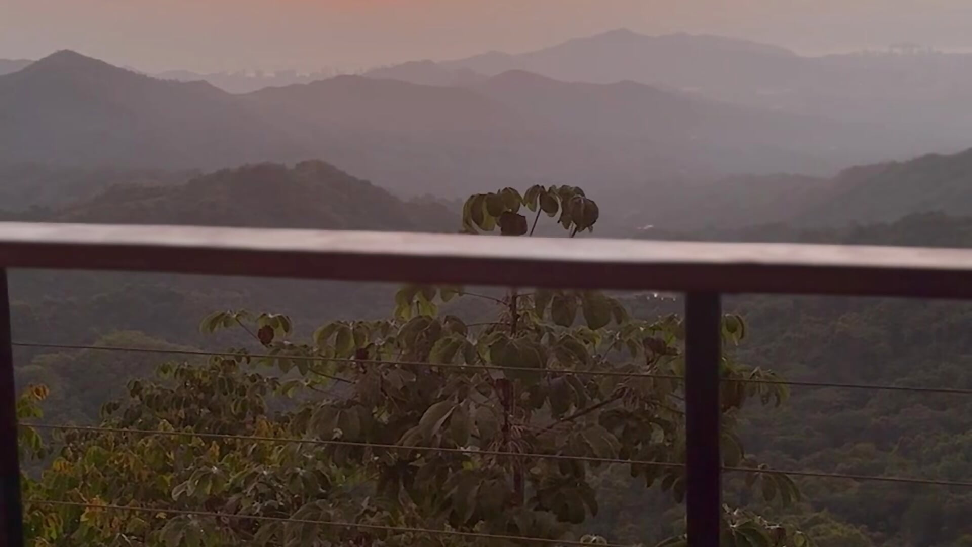 IMG_0892 - video di candyfox26__ modella di cam