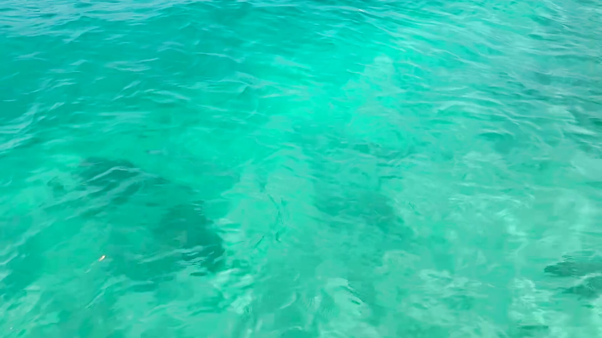 IMG_5405 - vídeo de candyfox26__ modelo de câmara