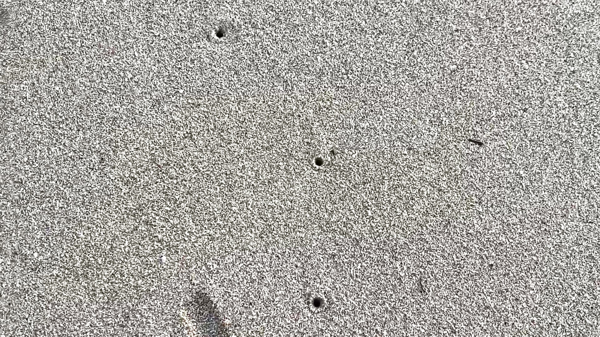 P lily - video av Lily_WellGifted cam model