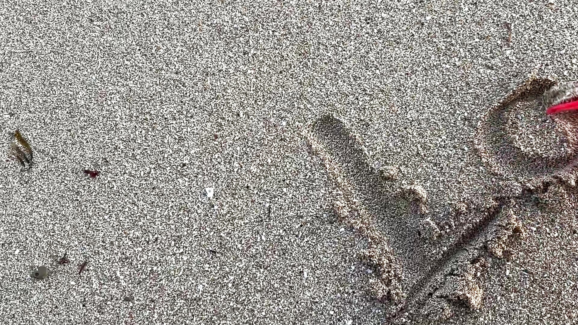 Love u guys - video av Lily_WellGifted cam model