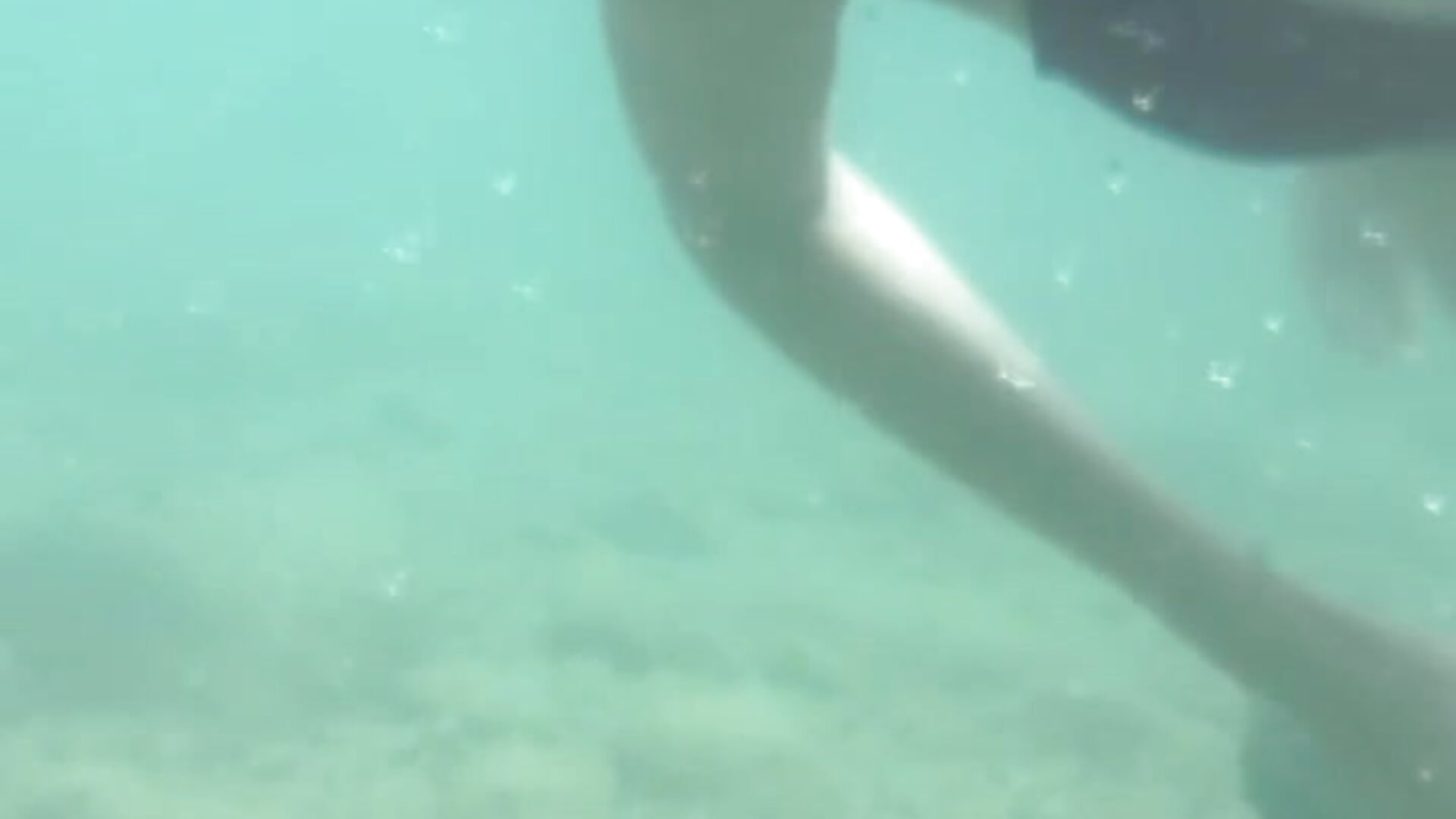 I’m swimming in the ocean – video od webkamerové modelky Emily_lune