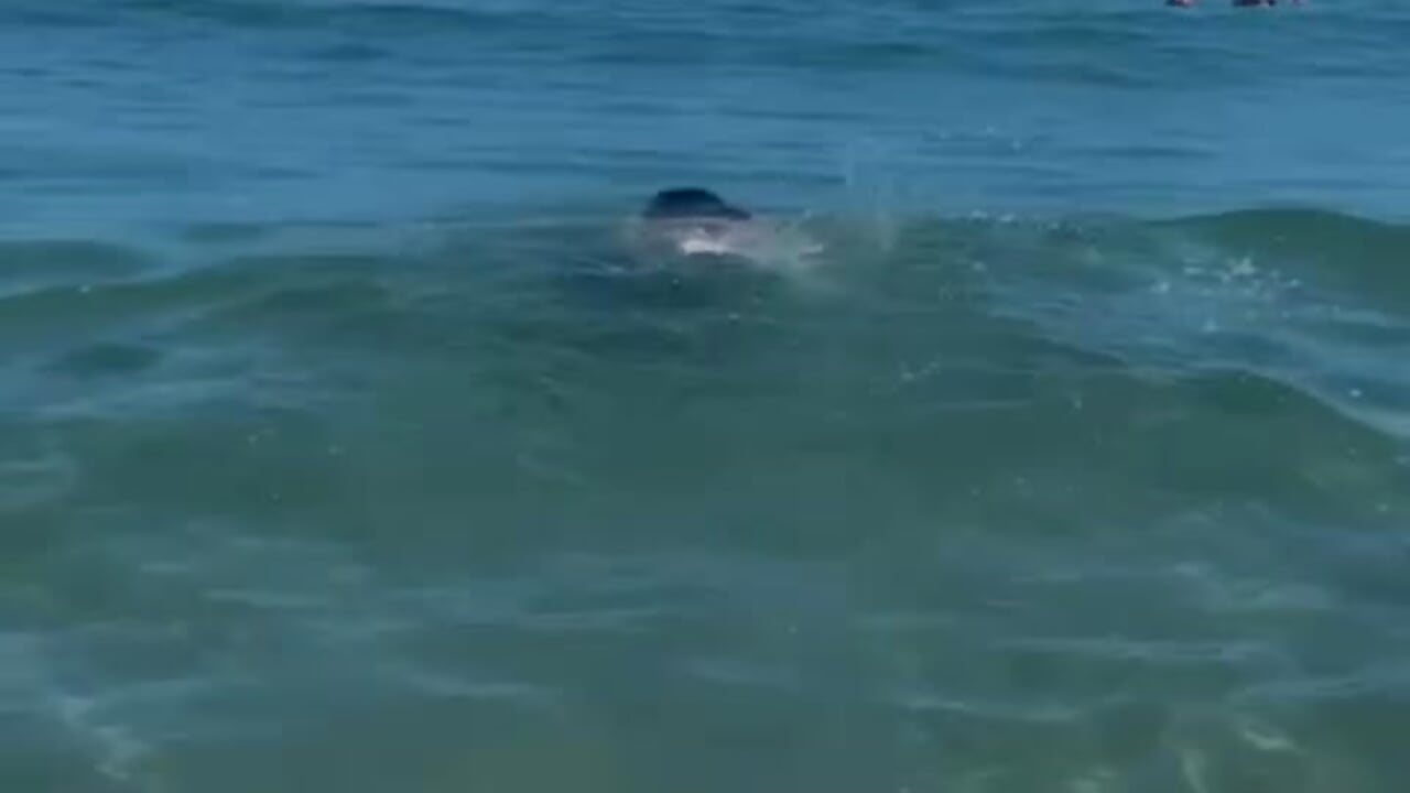 Sea and happiness – video od webkamerové modelky Rose_Allure