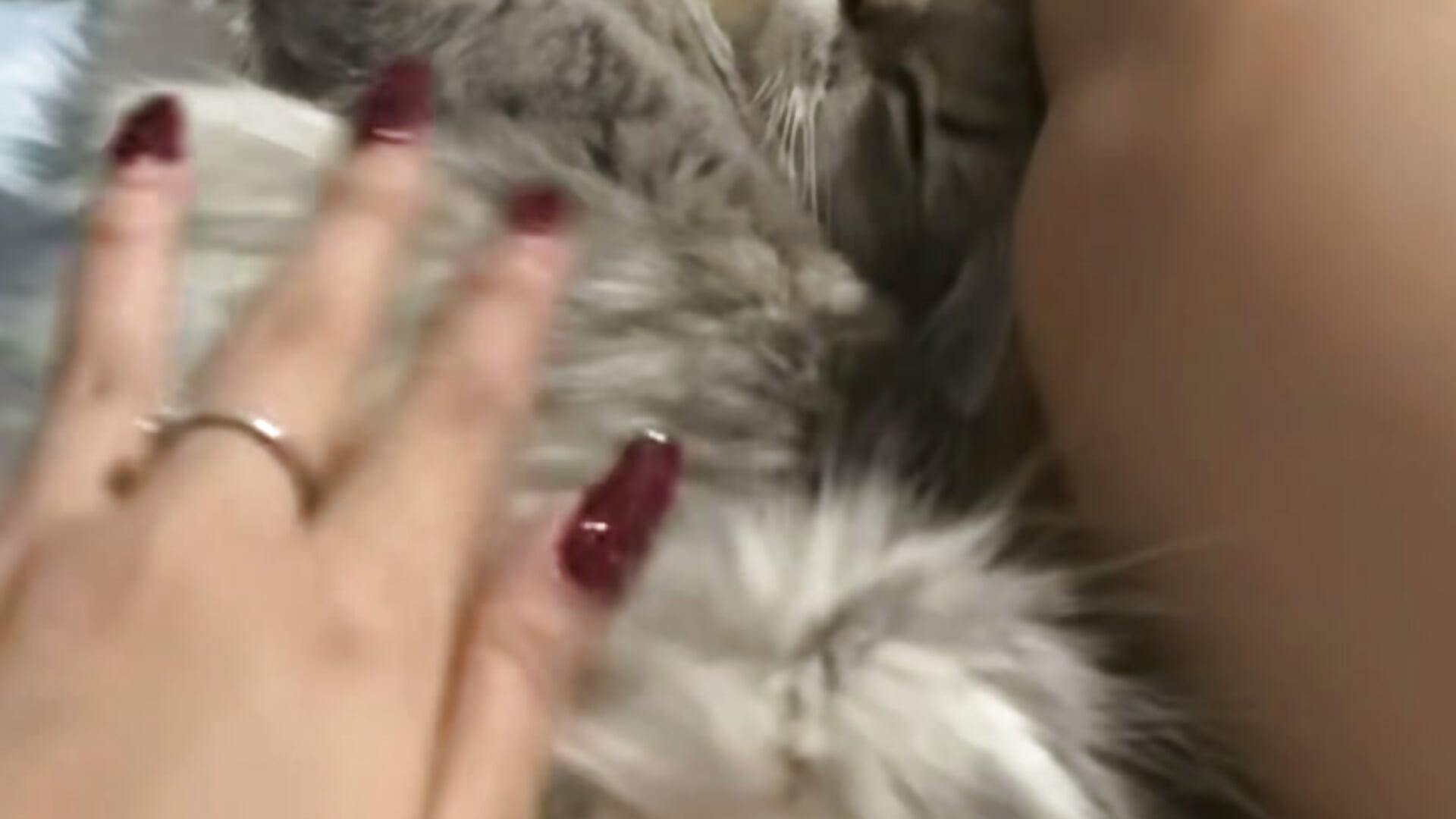 ScreenRecording_01-25-2026 15-17-24_1 - ক্যাম মডেল DOCTORA-ma-nal-এর ভিডিও