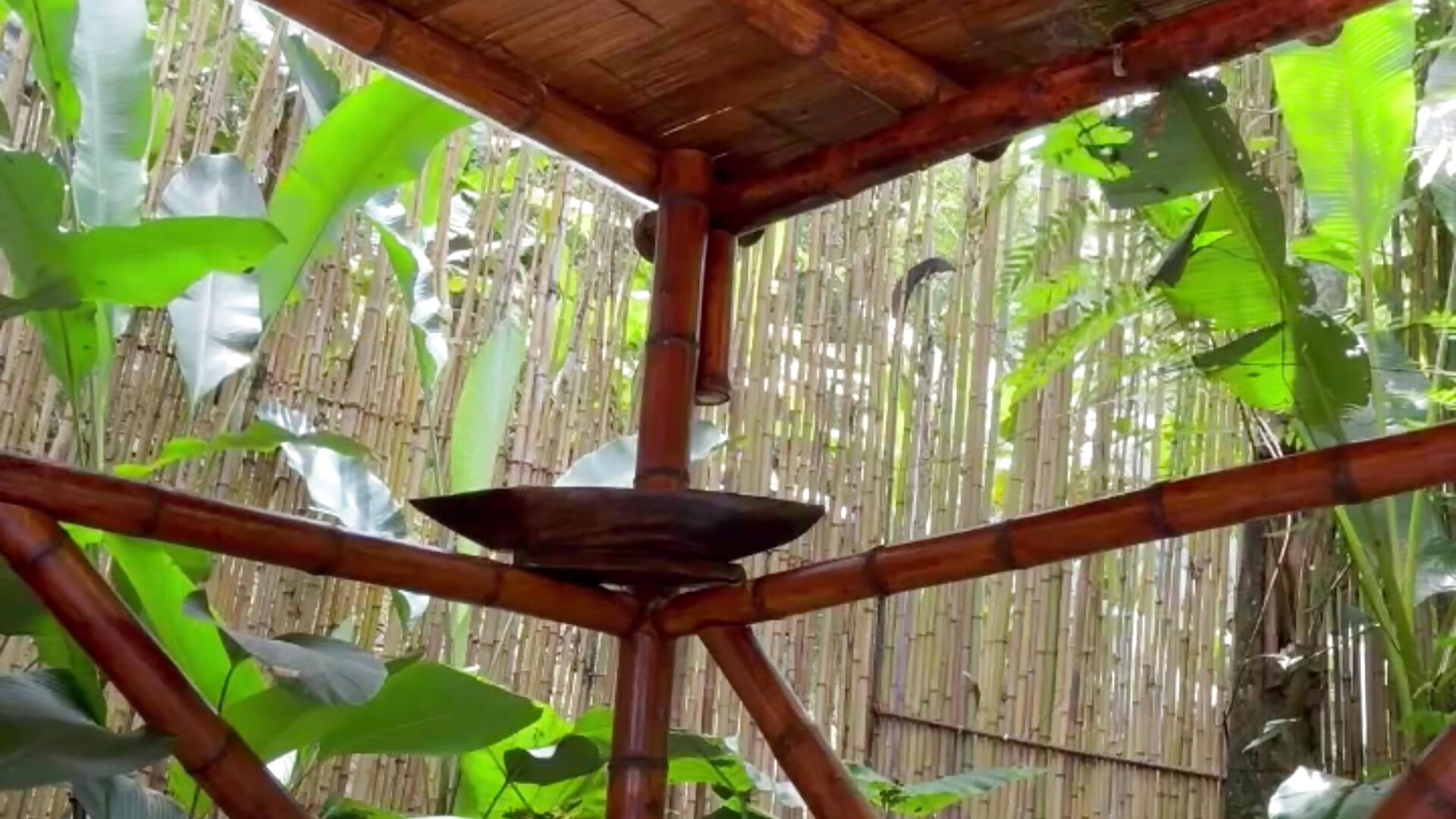 SMOKING - відео від вебкаммоделі Dusan_Grey77