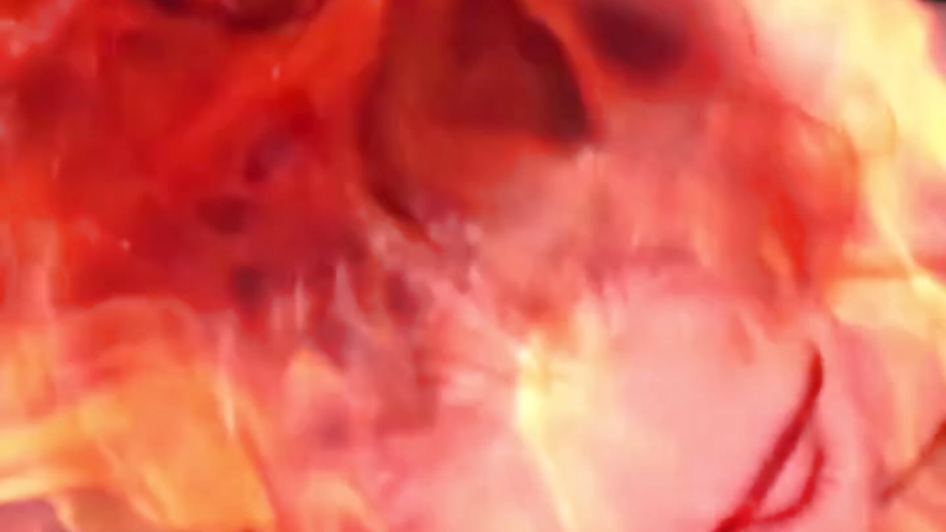 Chupando pija 💦 - CherryRabitt主播的视频