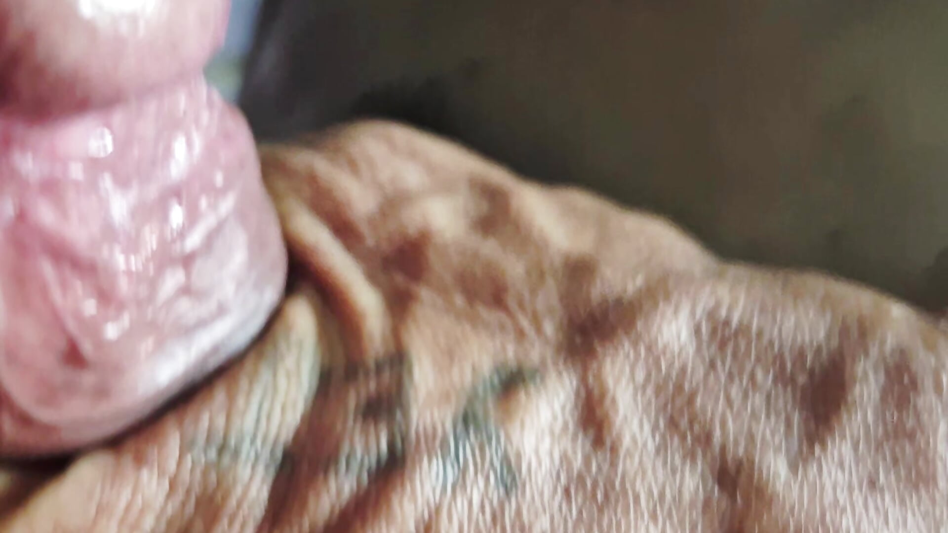 signed - video av juanmaur22 cam-modell