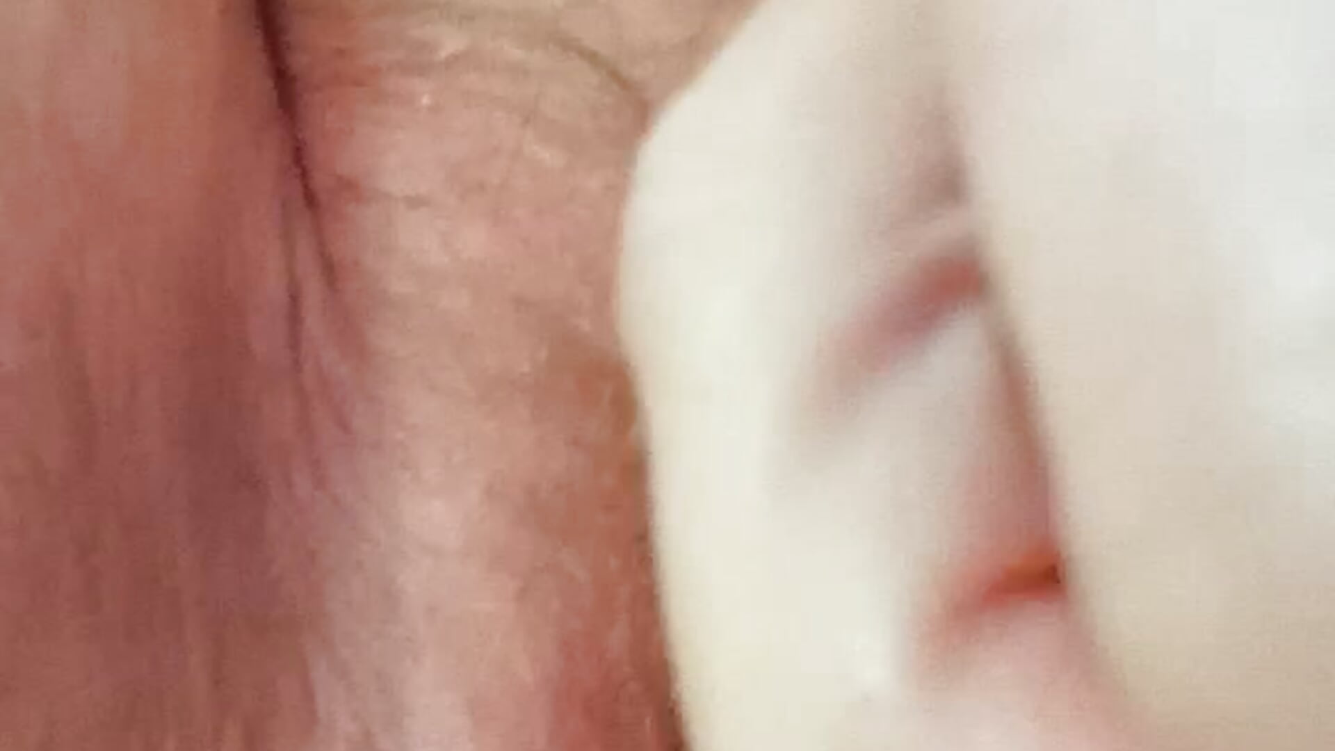 Eat your vegetables - video by FunandFriskylady cam model