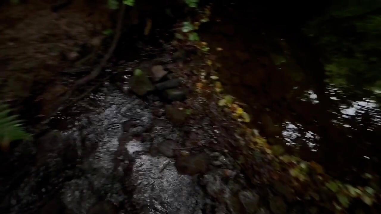 Lucassmart54 - Cam Model Trending Video 1669