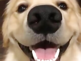 740 - video av Atleticomaniaco cam-modell