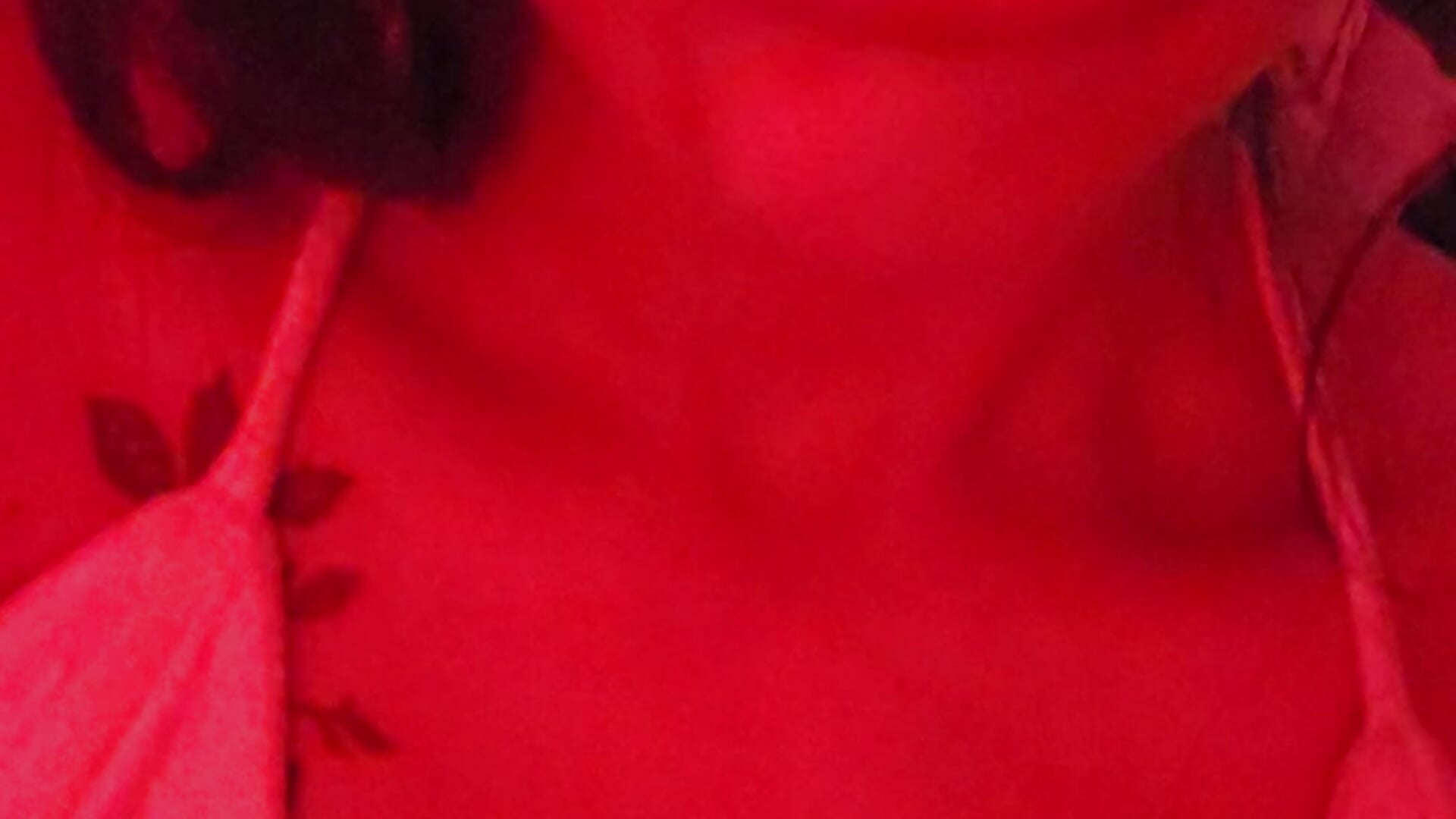 SDM - video by BESOSDEFUEGO cam model