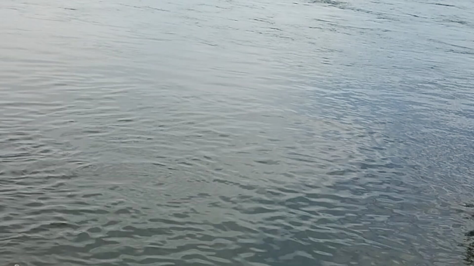 VID_20260125_170035615 – video modela na kameri PawningProxy