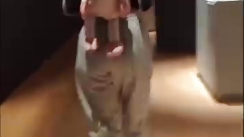 The world was on fire... - video của người mẫu cam Namtarak