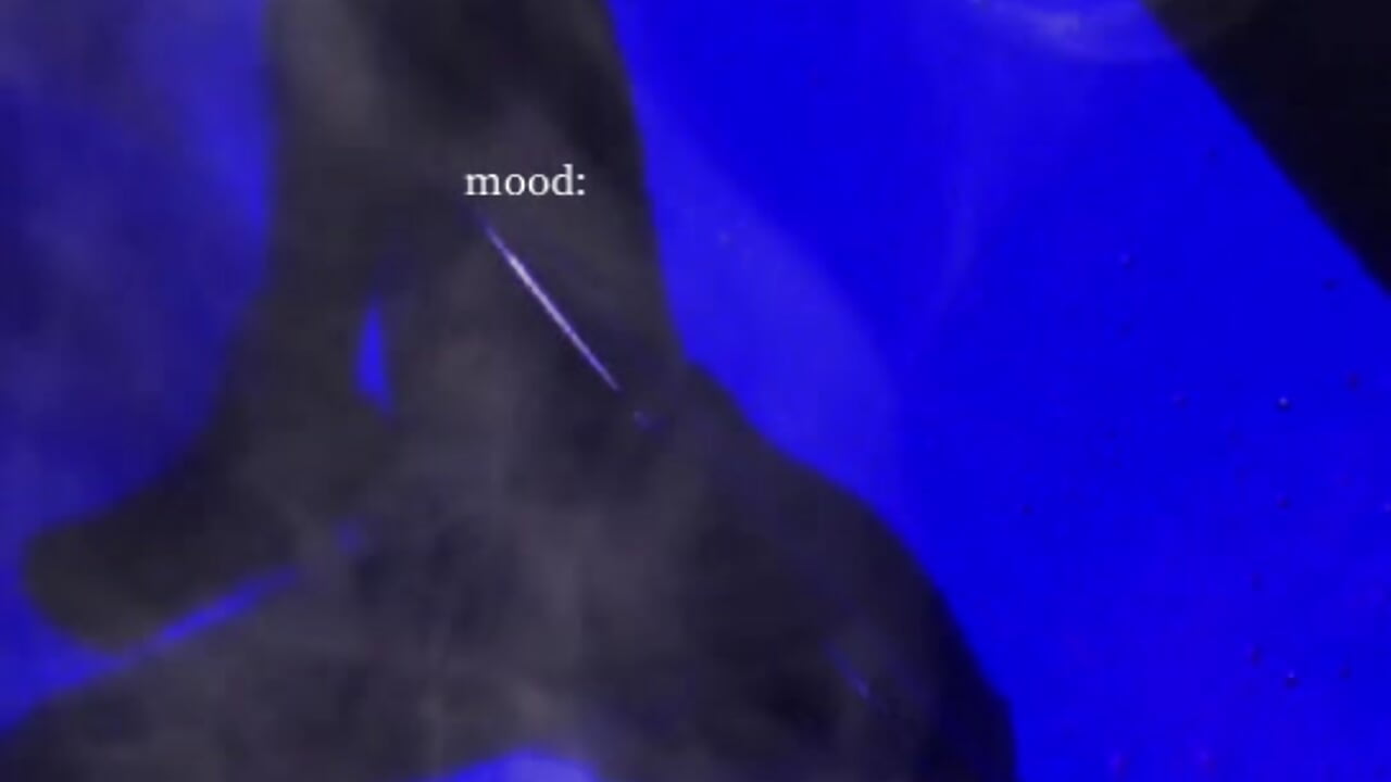 1000007559 - video av Laliah_xx cam model