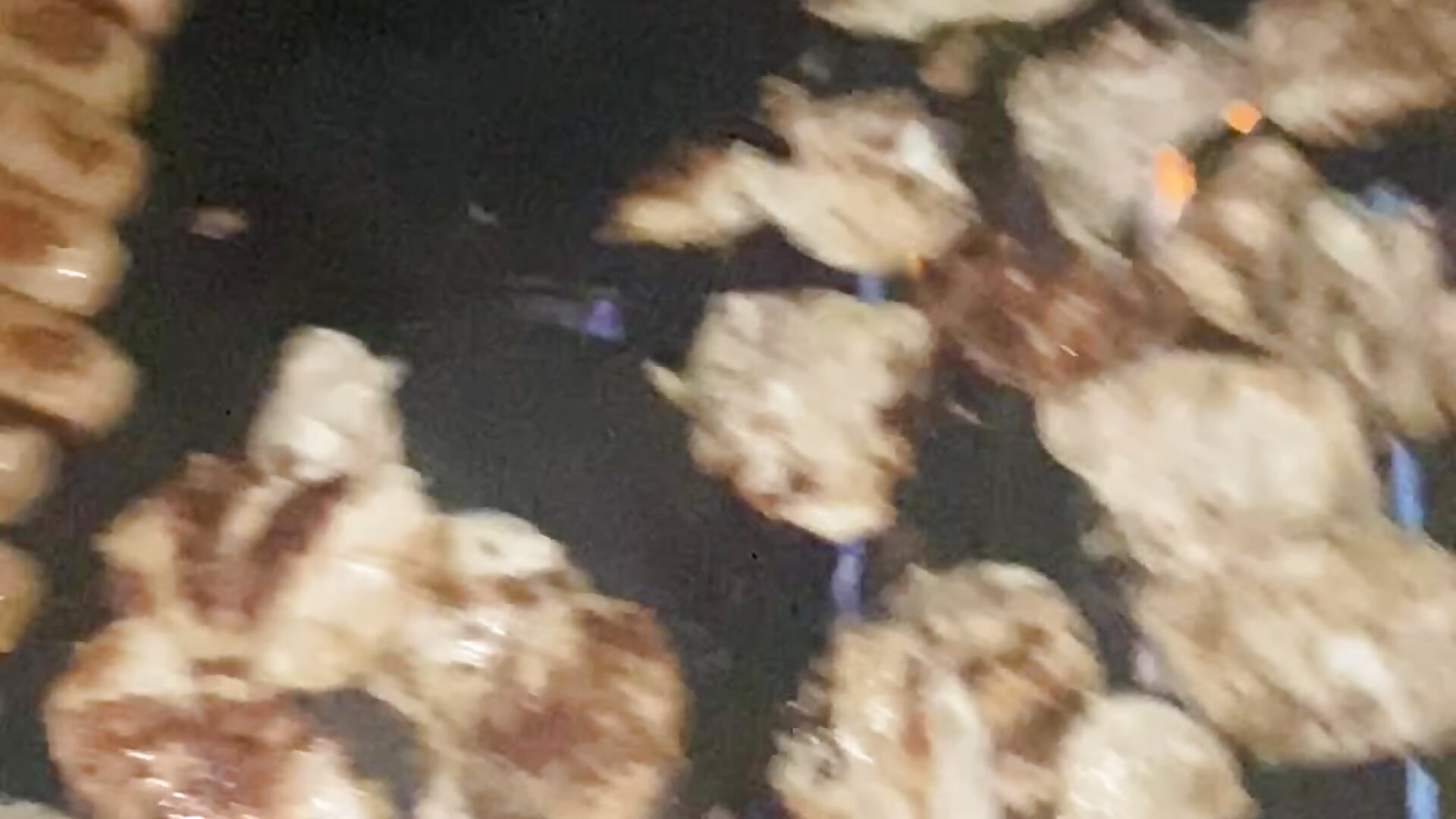 IMG_0739 – video od webkamerové modelky jamieeeexx