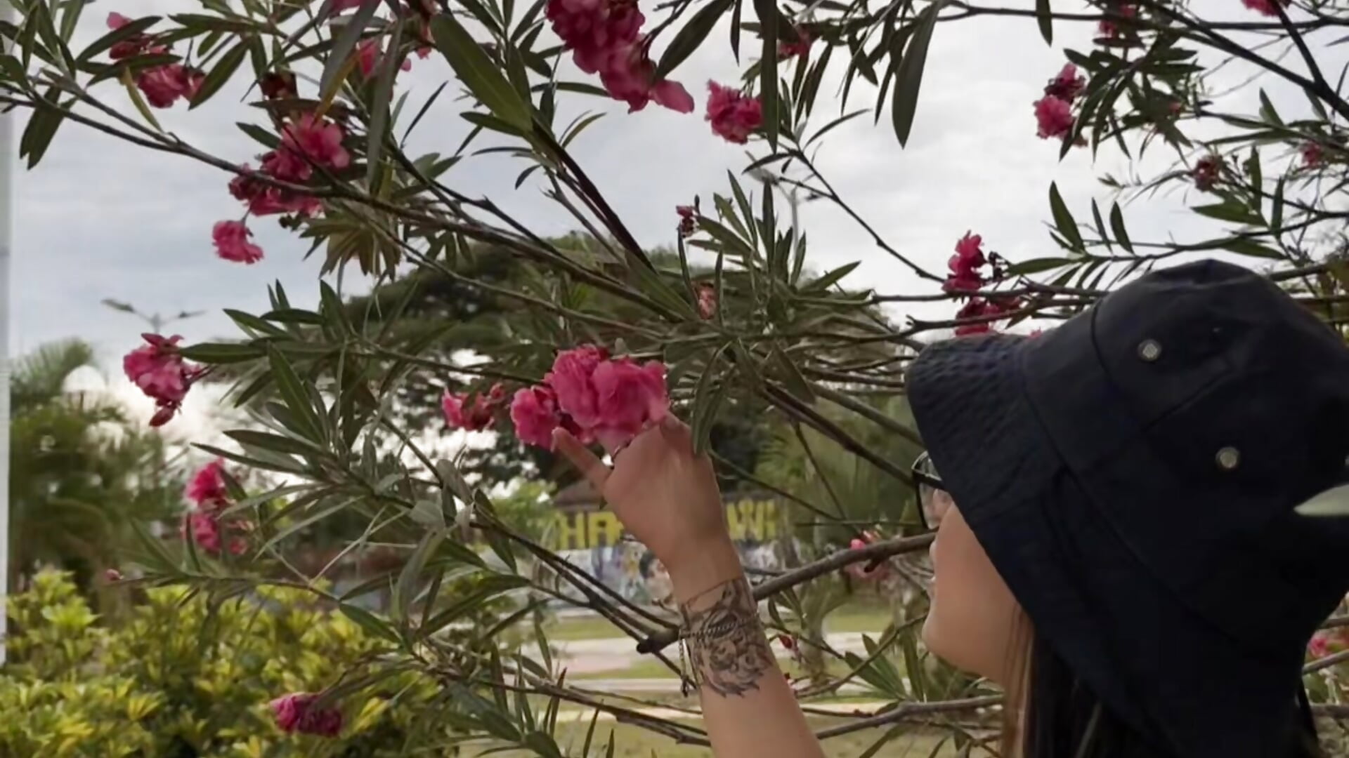 I love nature.🌻 - video od modelky/modela luna_sunflower__