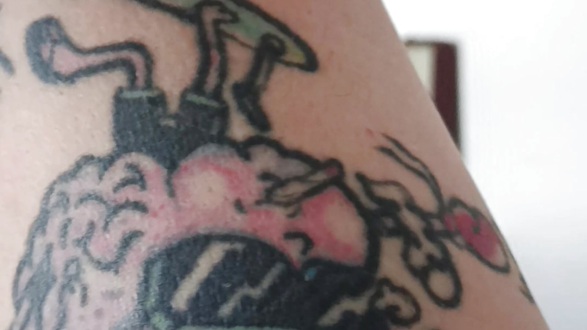 16742 - video av helloandi cam-modell