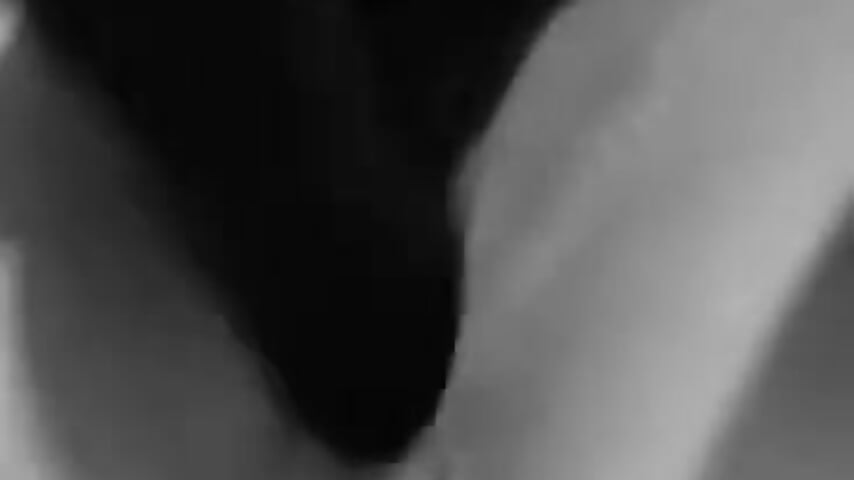 WhatsApp Video 2026-02-03 at 10,59,38 AM - video van cristalayyy cam-model