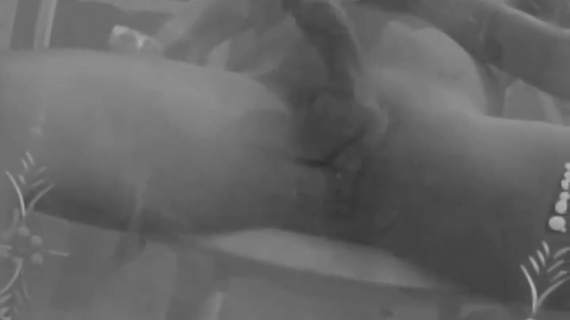 1000085487 - vídeo de 04_bryan modelo de câmara