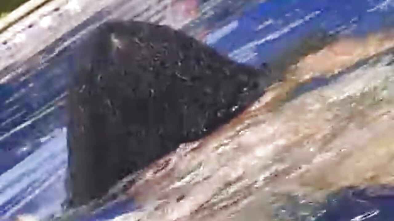 Having a wonderful time.🌞💦 - Helena-Snow 캠 모델의 동영상