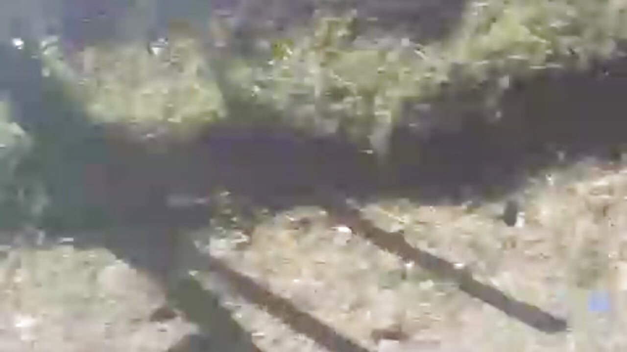 Axel_Walkeer – popularni video modela na kameri 7200